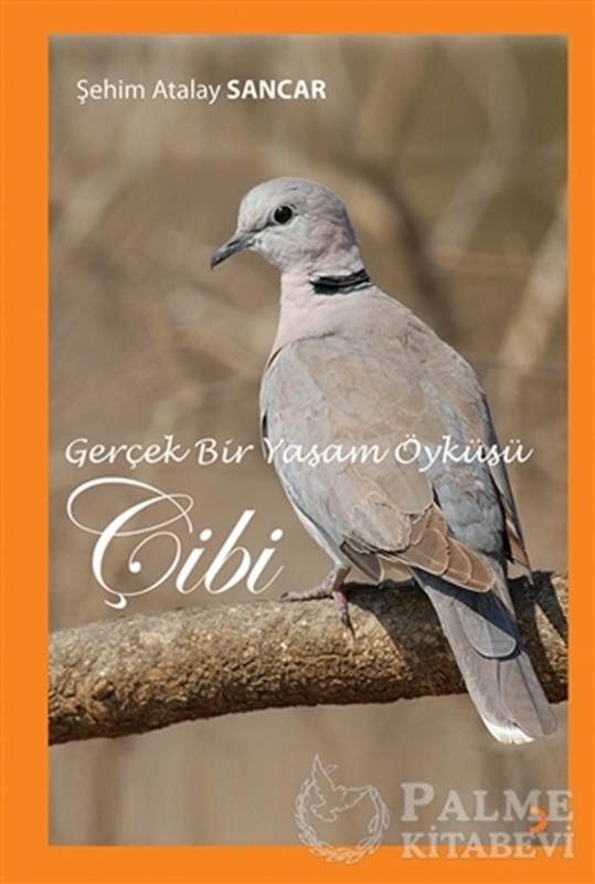 resm Gerçek Bir Yaşam Öyküsü Çibi