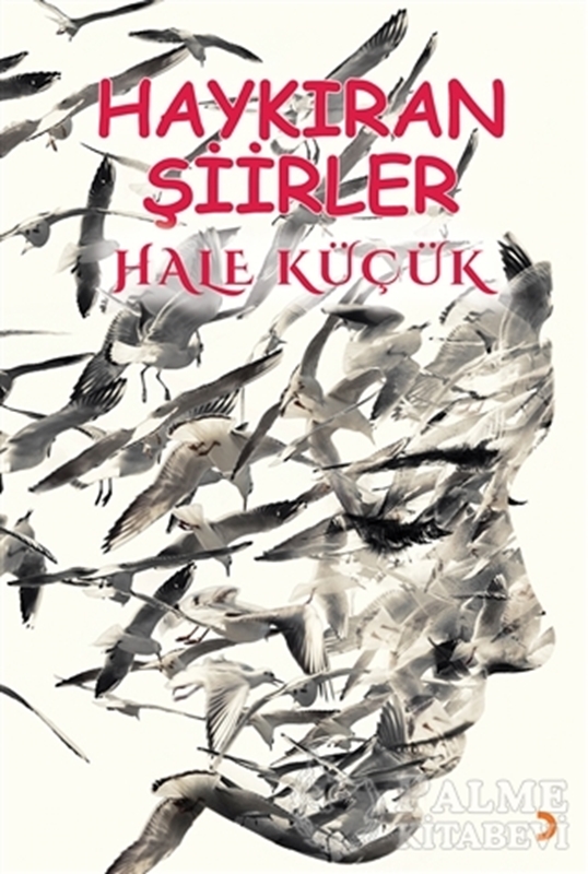 resm Haykıran Şiirler