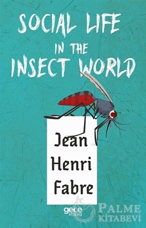 Resim Social Life in The Insect World