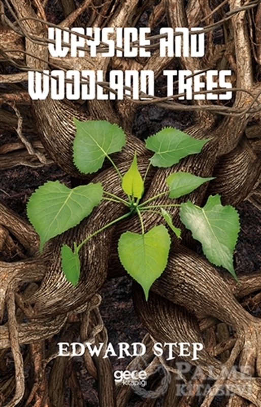 resm Wayside And Woodlan Trees