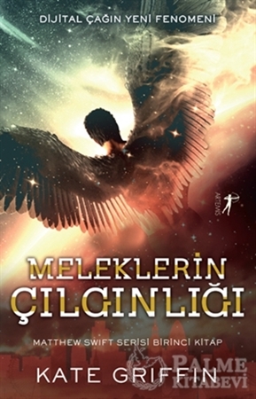 Resim Meleklerin Çılgınlığı