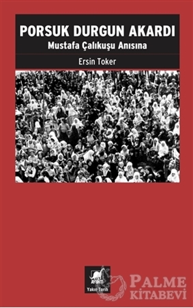 Resim Porsuk Durgun Akardı