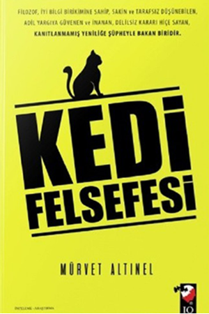 Resim Kedi Felsefesi