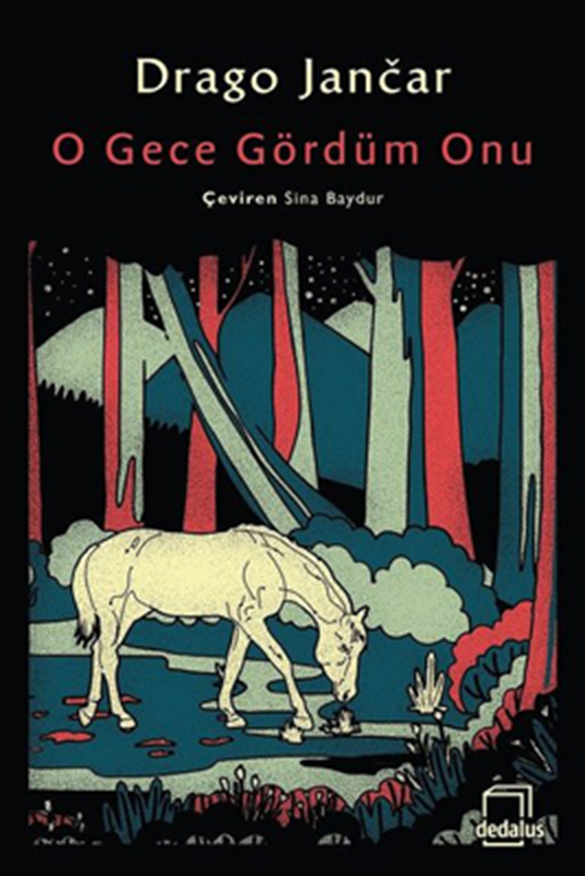 resm O Gece Gördüm Onu