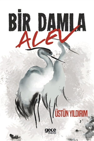 Resim Bir Damla Alev