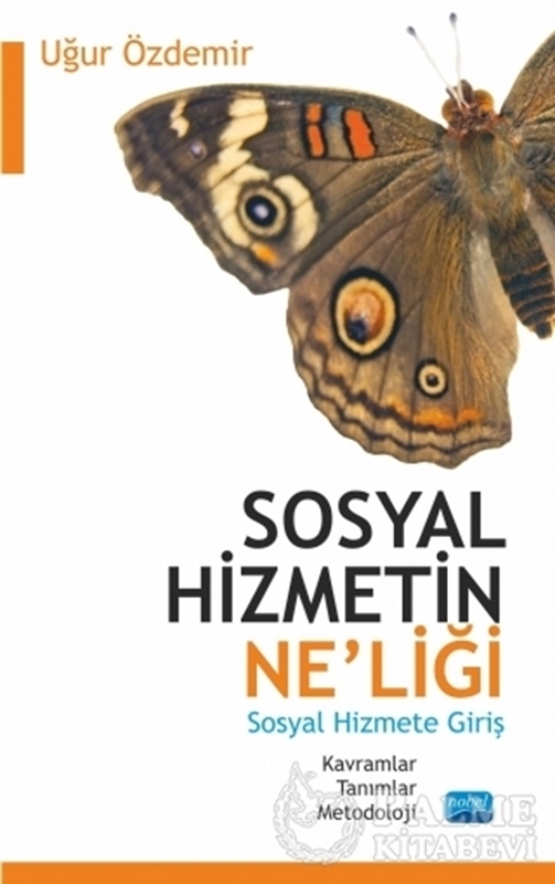 resm Sosyal Hizmetin Ne'liği - Sosyal Hizmete Giriş