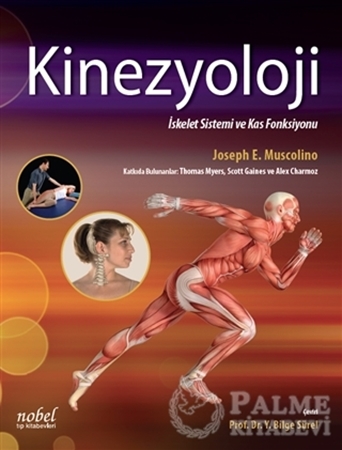 Resim Kinezyoloji: İskelet Sistemi ve Kas Fonksiyonu
