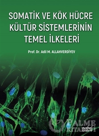 Resim Somatik ve Kök Hücre Kültür Sistemlerinin Temel İlkeleri