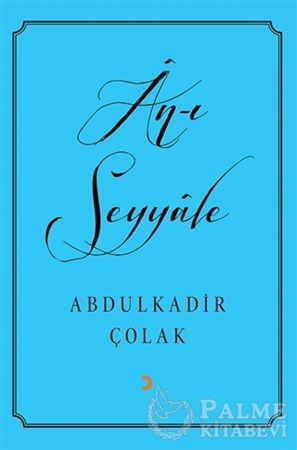 Resim An-ı Seyyale