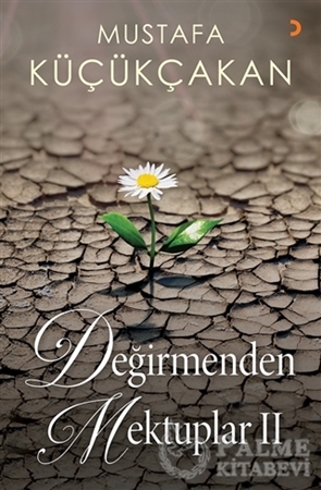 Resim Değirmenden Mektuplar 2