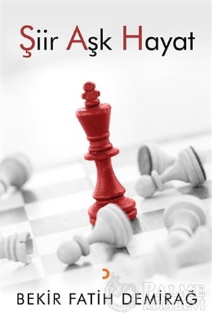 Resim Şiir Aşk Hayat