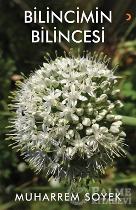 resm Bilincimin Bilincesi