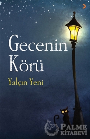 Resim Gecenin Körü