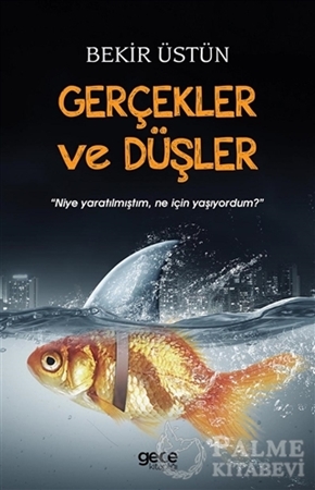 Resim Gerçekler ve Düşler