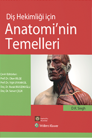 Resim Diş Hekimliği için Anatominin Temelleri