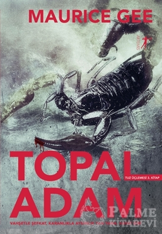 resm Topal Adam - Tuz Üçlemesi 3. Kitap