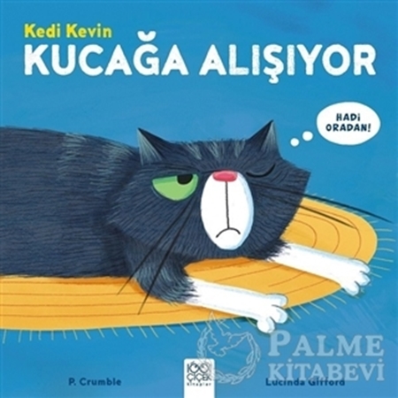 Resim Kedi Kevin Kucağa Alışıyor