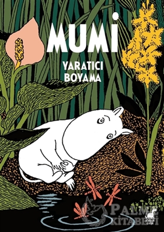 resm Mumi -Yaratıcı Boyama