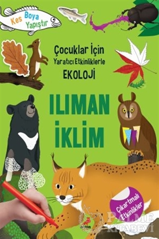 resm Ilıman İklim - Çocuklar İçin Yaratıcı Etkinliklerle Ekoloji