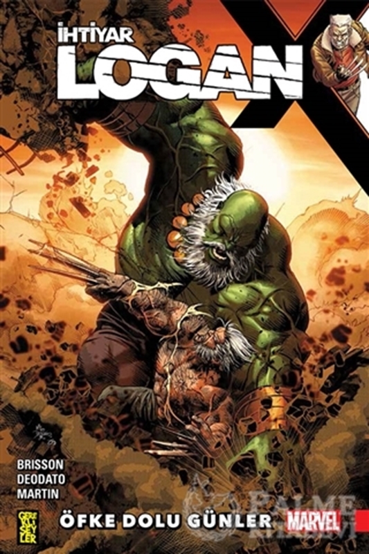 resm İhtiyar Logan 6