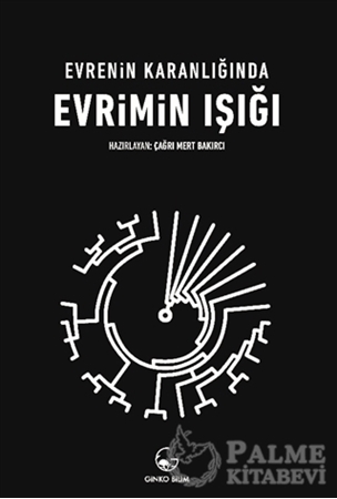 Resim Evrenin Karanlığında Evrimin Işığı