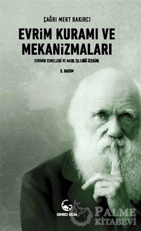 Resim Evrim Kuramı ve Mekanizmaları