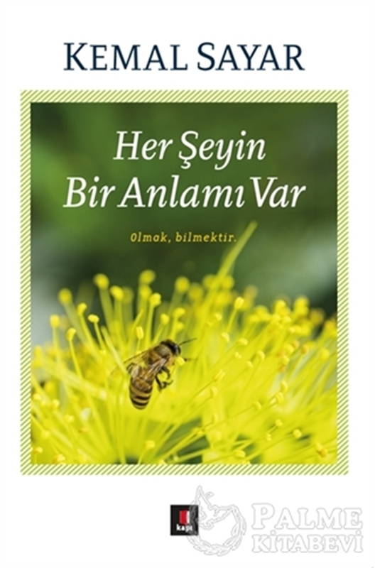 resm Her Şeyin Bir Anlamı Var