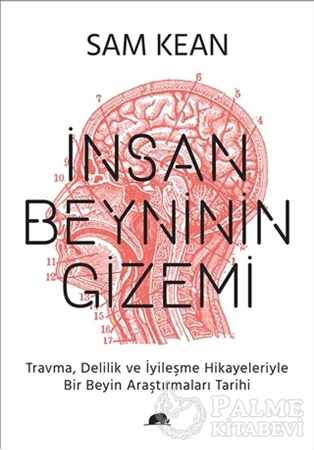 Resim İnsan Beyninin Gizemi