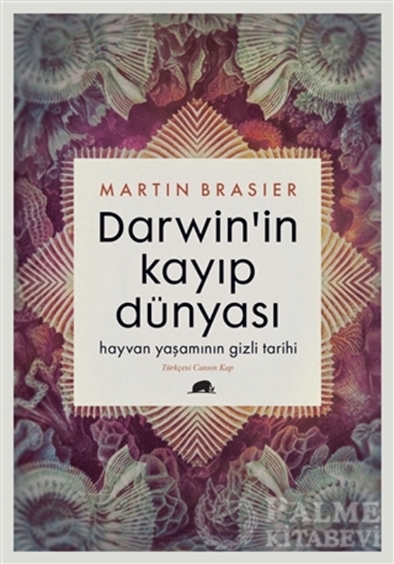 resm Darwin'in Kayıp Dünyası