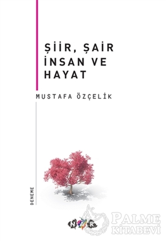 resm Şiir, Şair İnsan ve Hayat