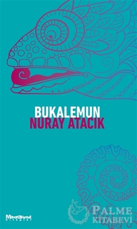 Resim Bukalemun