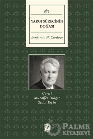 Resim Yargı Sürecinin Doğası