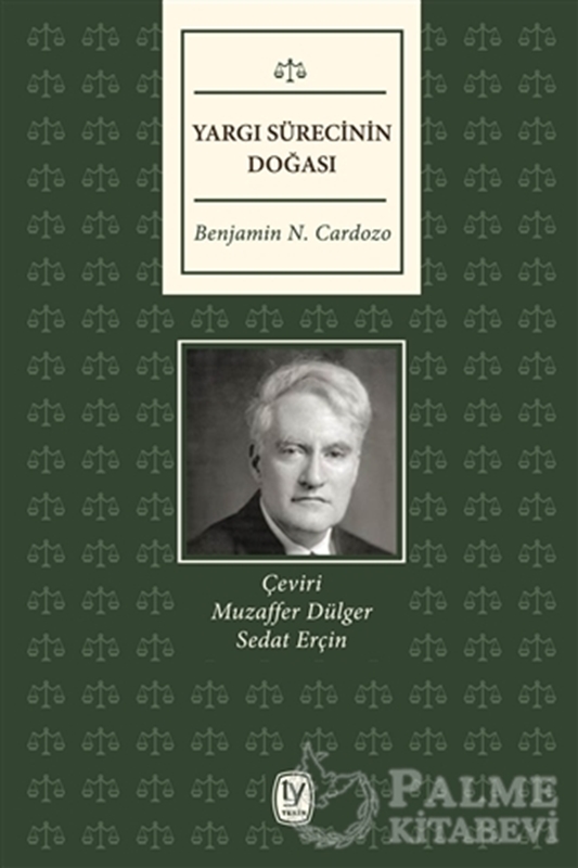 resm Yargı Sürecinin Doğası