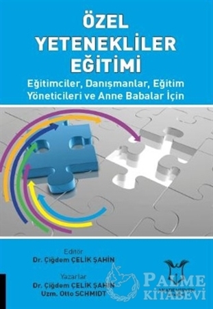 Resim Özel Yetenekliler Eğitimi