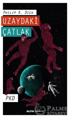 Resim Uzaydaki Çatlak