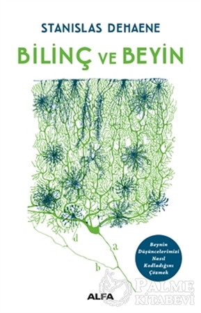 Resim Bilinç ve Beyin