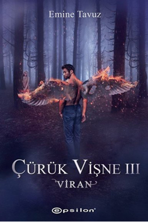 Resim Viran - Çürük Vişne 3