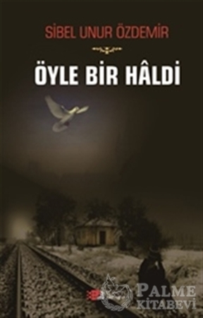 Resim Öyle Bir Haldi