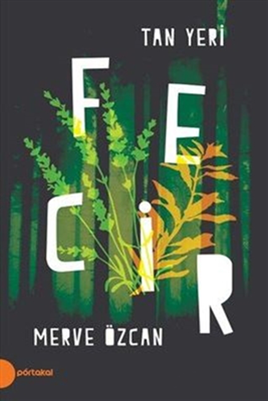 resm Fecir - Tan Yeri 2