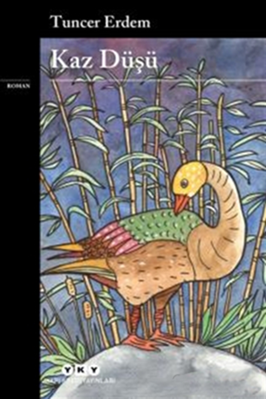 resm Kaz Düşü