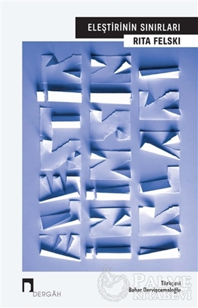 Resim Eleştirinin Sınırları