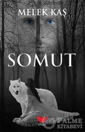 Resim Somut