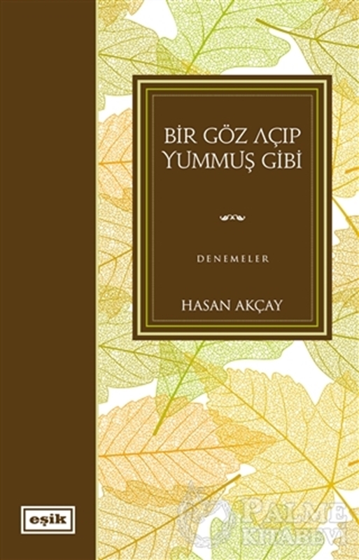 resm Bir Göz Açıp Yummuş Gibi