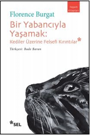 Resim Bir Yabancıyla Yaşamak
