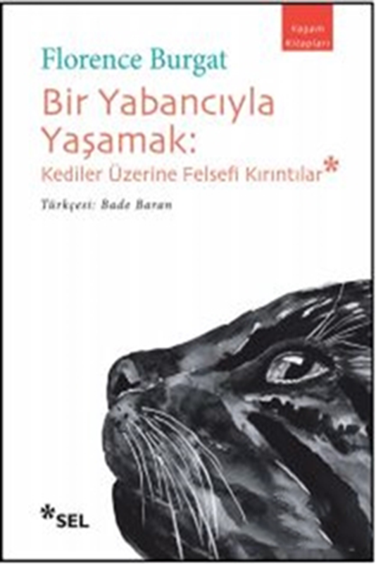 resm Bir Yabancıyla Yaşamak