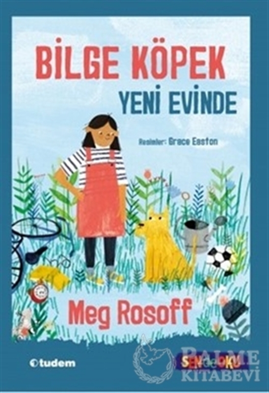 resm Bilge Köpek Yeni Evinde