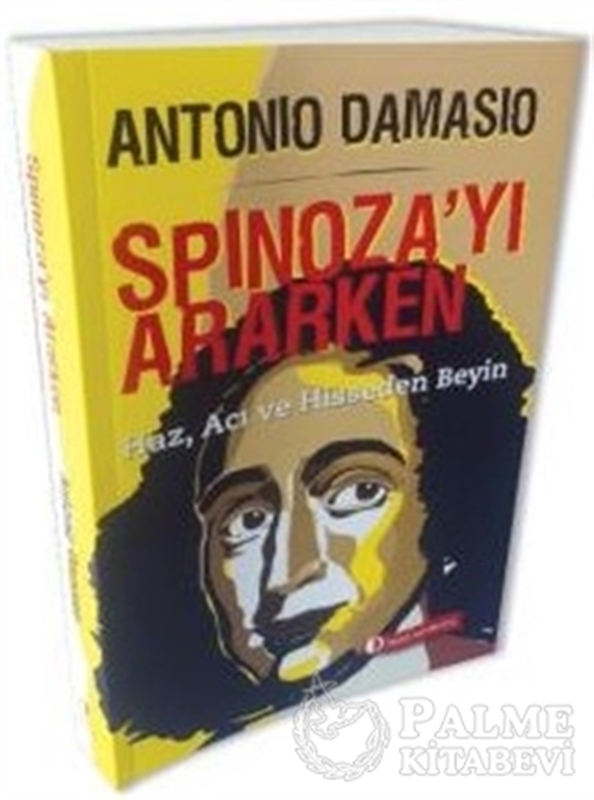 resm Spinoza’yı Ararken