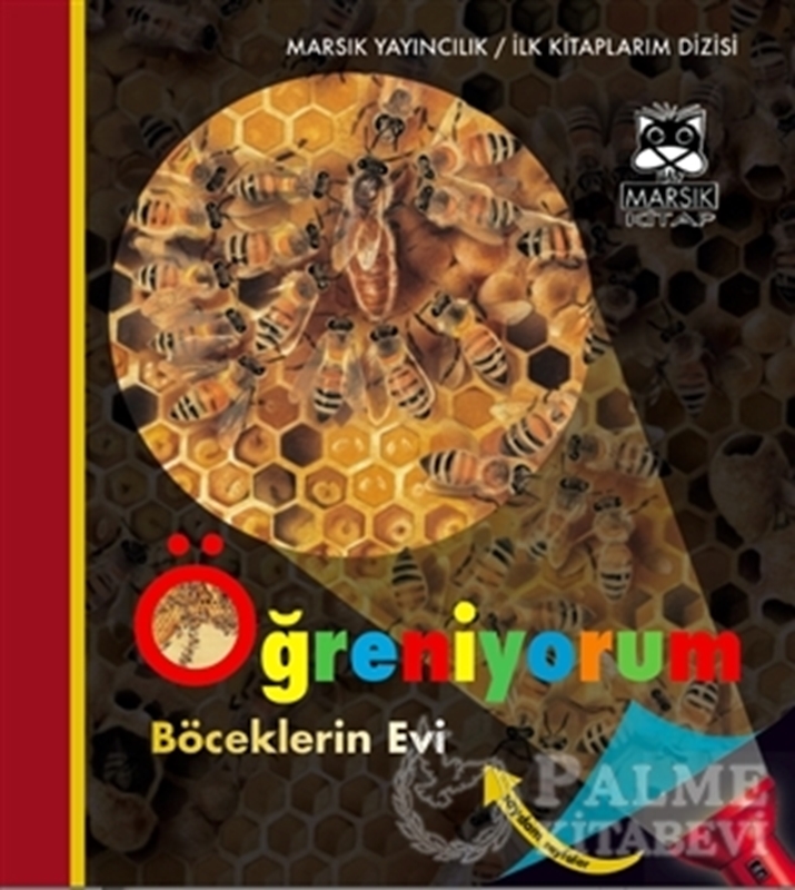 resm Öğreniyorum - Böceklerin Evi