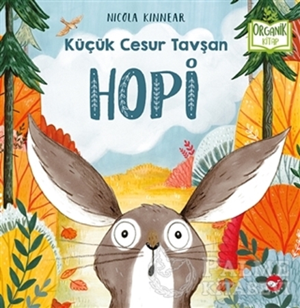 Resim Hopi - Küçük Cesur Tavşan