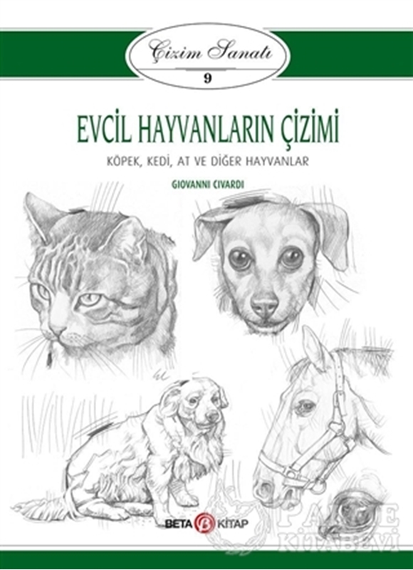 resm Evcil Hayvanların Çizimi - Çizim Sanatı 9